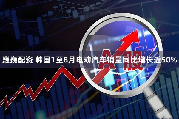 巍巍配资 韩国1至8月电动汽车销量同比增长近50%