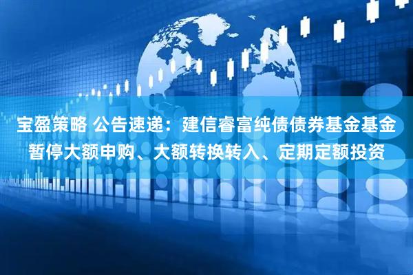 宝盈策略 公告速递：建信睿富纯债债券基金基金暂停大额申购、大额转换转入、定期定额投资