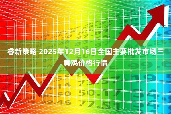 睿新策略 2025年12月16日全国主要批发市场三黄鸡价格行情
